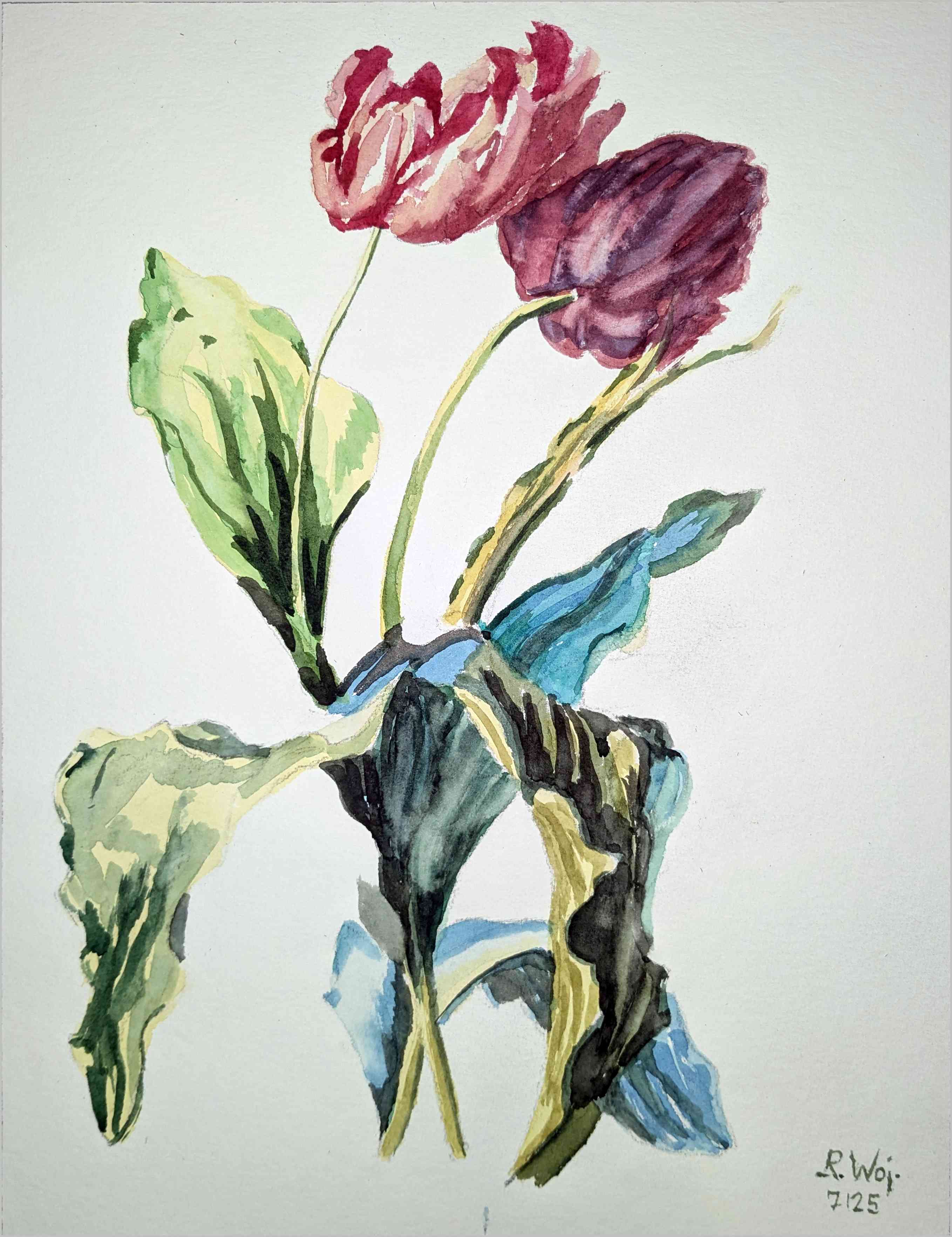 Tulpen